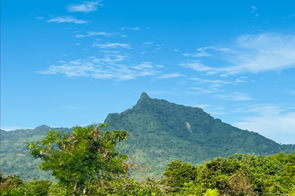 An Accident, a Vision, and a Mountain  <br />Hearing God's Call